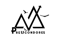 Logotipo de Preuniversitario Condores